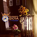 Gioia 3*