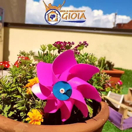 Gioia Panzió Catanzaro