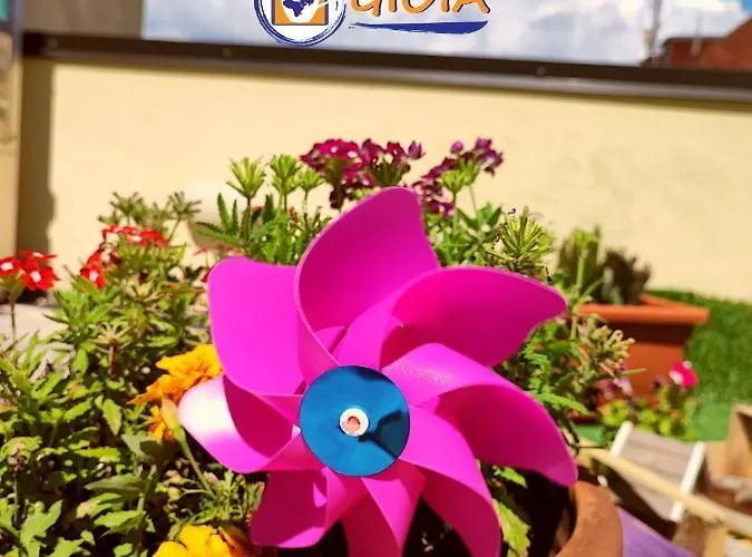 Gioia Alojamento de Acomodação e Pequeno-almoço Catanzaro