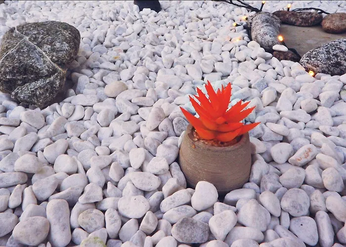 Gioia Alojamento de Acomodação e Pequeno-almoço